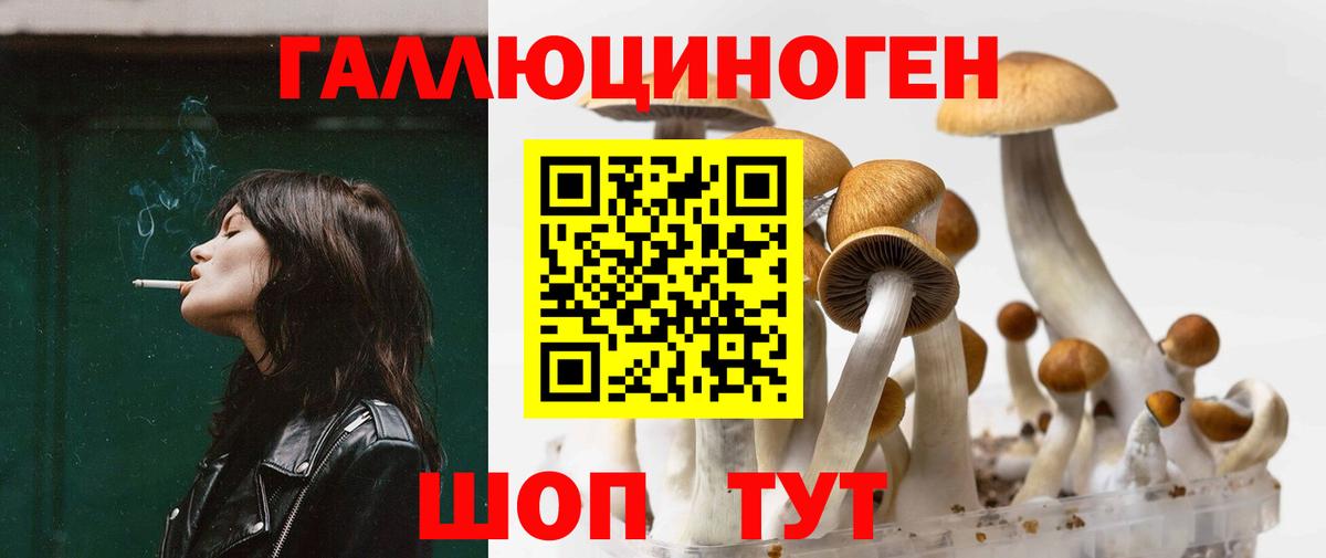 Галлюциногенные грибы ЛСД Тамбов