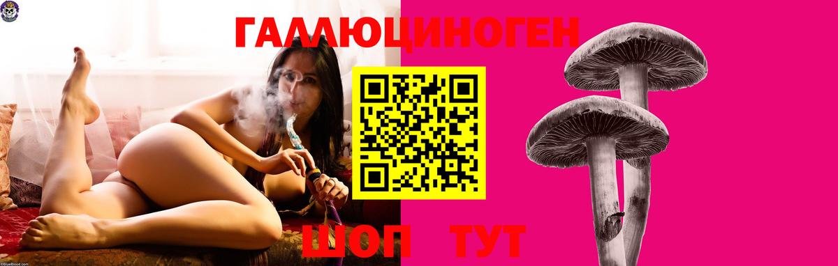 Тамбов  Псилоцибиновые грибы Psilocybe  Вход с VPN 